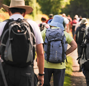 Image shows walkers enjoying a stroll in The National Forest, Staffordshire