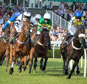 STAF - Blog Image - Uttoxeter Racecourse - hard on their heels - 300x290