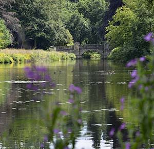 The beautiful Paine's Bridge at Weston Park, Staffordshire, from across the lake on a sunny day