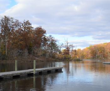 view of the water from the dock at Lake Ridge Marina