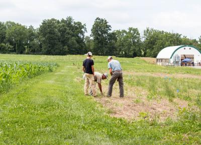 3 men in a field at rodale institute, inspecting the crops