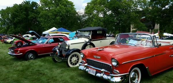 Vintage cars lined up on grass.