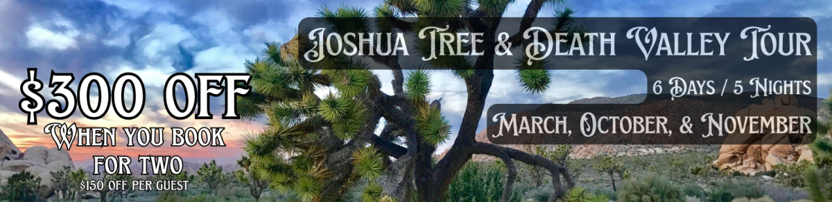 Joshua Tree Banner