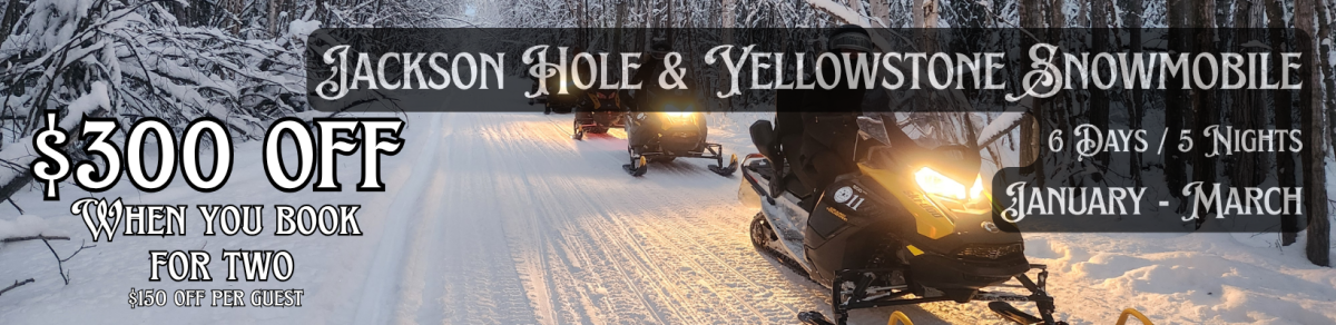 snowmobile banner