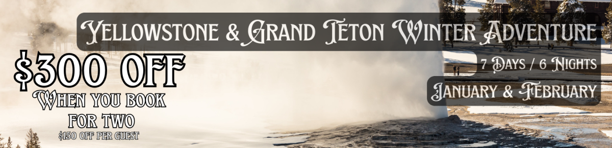 Yellowstone Banner Winter
