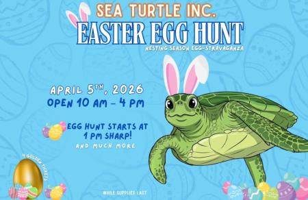 Sea Turtle Inc Easter Egg Hunt