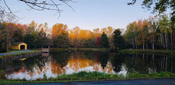 Brown county reforestation camp