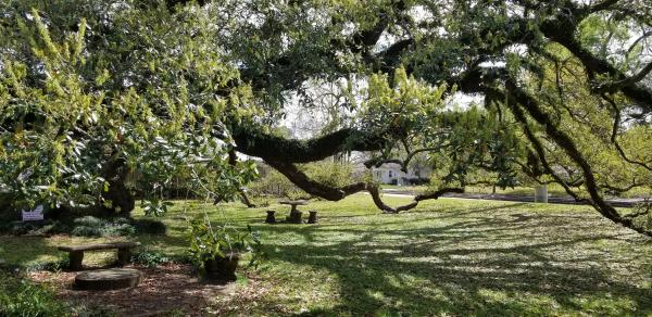 Imperial Calcasieu Museum