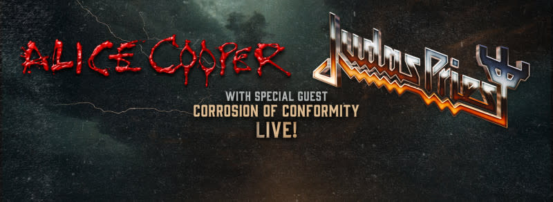 Alice cooper concert image