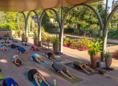 Denver Botanic Gardens yoga