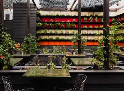The gardens at Vital Root restaurant in Denver