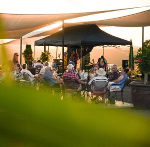 Guests sitting on a sunny outdoor patio listening to live music.