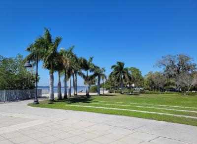 Bayshore Live Oak Park
