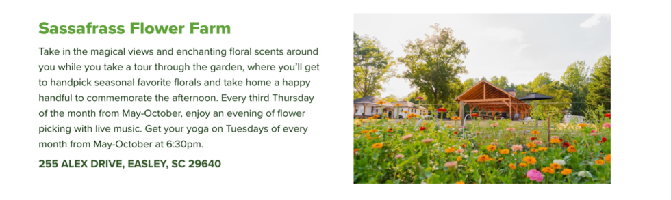 A photo of Sassafrass Flower Farm in Greenville, SC with text overlay