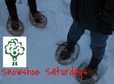 Snowshoe