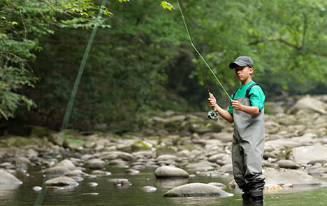 Fly Fisherman