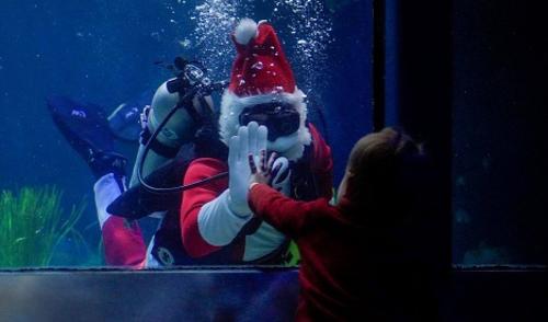 Virginia Aquarium Santa
