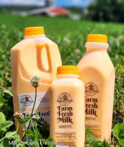 Picture of milk from Mapes Farm Fresh