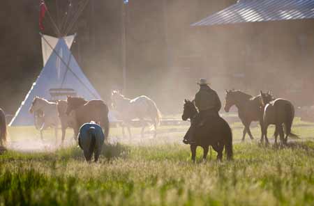 Rounding Up the Horses | Photo: 320 Ranch