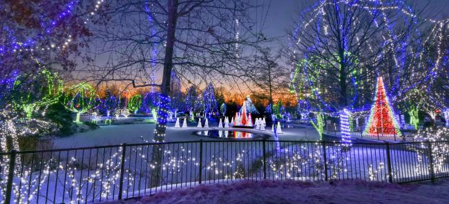 View of pond covered with snow and ice with thousands of colorful LED lights in trees during Columbus Zoo's Wildlights holiday event