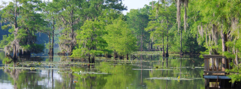 allen guide service caddo lake tour