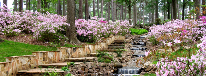norton art gallery botanical gardens