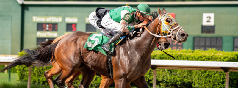 louisiana downs race track blog header