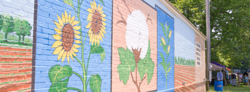 sunflower festival mural 940 x 348
