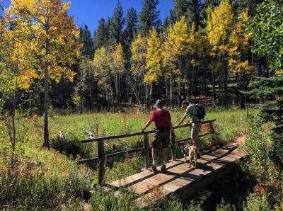 Golden Gate Canyon fall hike with dog