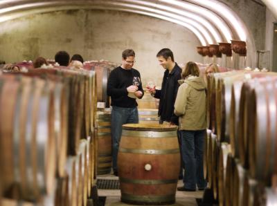 Barrel tasting at Archery Summit during Cellar Season