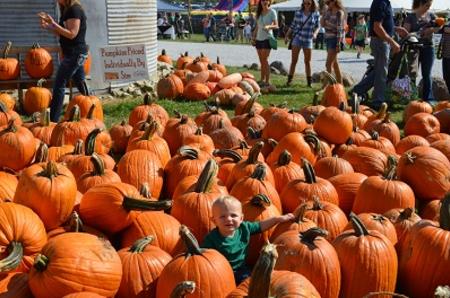 Beasley's Heartland Apple Festival boy with pumpkins