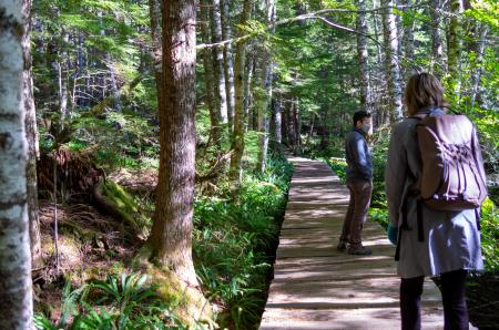 Trail of the Shadows at Longmire in Mount Rainier National Park