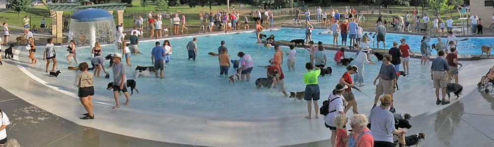 Dog Days of Summer at College Hill Pool