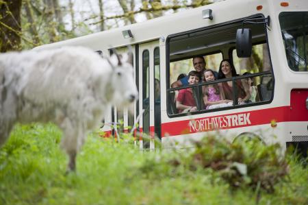 Tram Tour at Northwest Trek Wildlife Park
