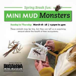 [ID: a picture of an event called Mini Mud Monsters that is happening at Britannia Mine Museum from March 18-28.]