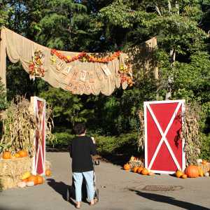 Harvest Days at VanDusen Botanical Garden
