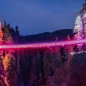 [ID: a photo of Capilano Suspension Bridge covered in pink lights at night during their Capilano Love Lights festival.]