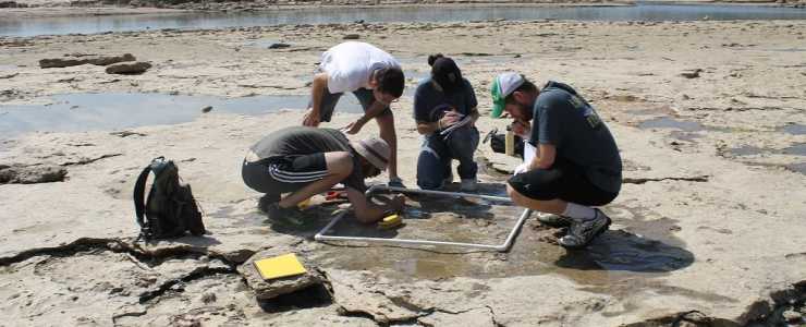 Finding Really BIG Fossils | The Falls of the Ohio's Fossil Beds Exposed