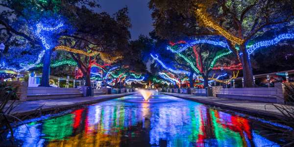Zoo Lights