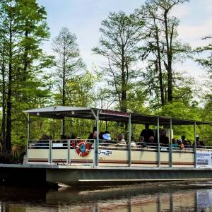 Find The Top Things To Do In Beaumont Tx