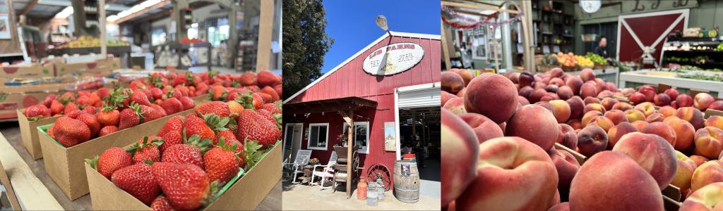 LJB Farms fruit and entrance