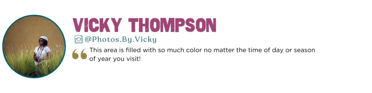 Quote Says: This area is filled with so much color no matter the time of day or season of year you visit!