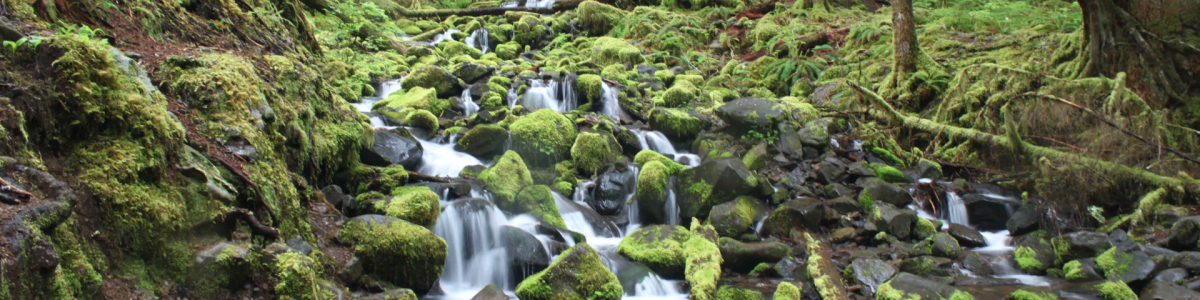 Olympic National Park Waterfall
