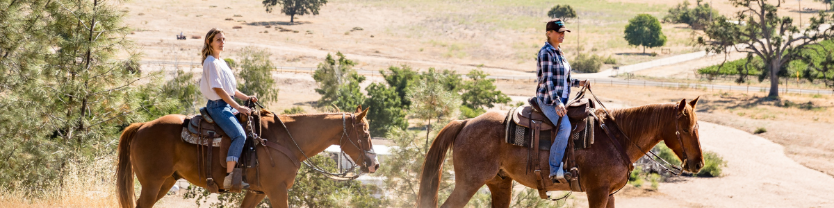 Horseback