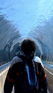 Colchester Zoo Sealion Tunnel 2025