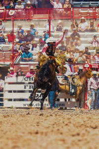 Brody riding a bronc
