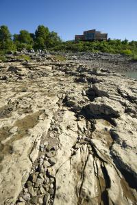 Falls of the Ohio State Park Fossil Beds