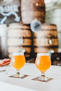 Beer Glasses on Table