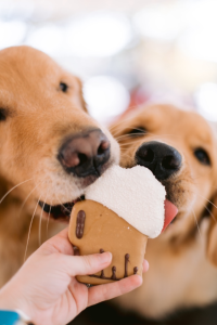 Dogs eating a treat