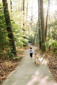 dog and child walking trail